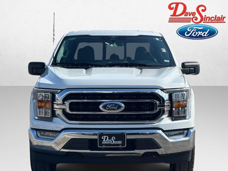 Ford F-150 Vehicle Image 02