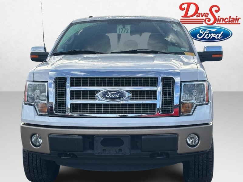 Ford F-150 Vehicle Image 02