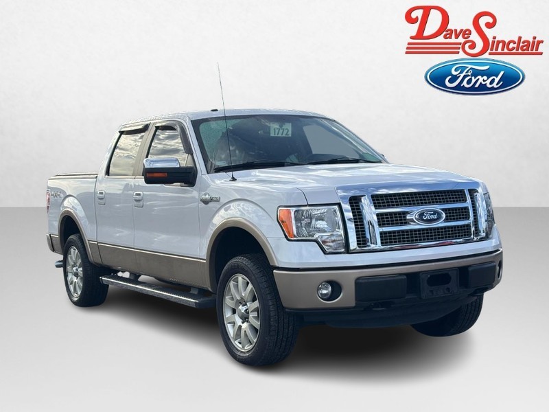 Ford F-150 Vehicle Image 04