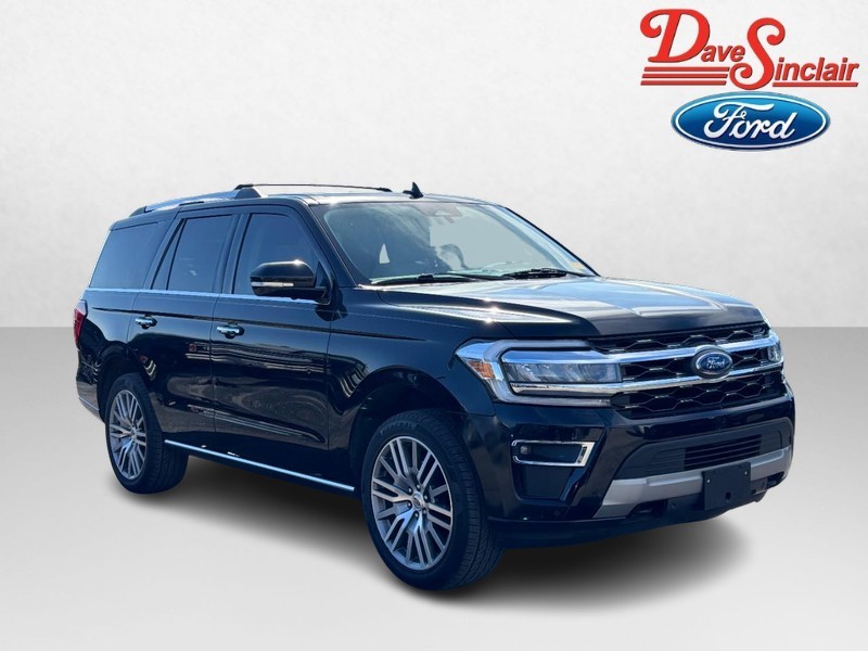 Ford Expedition Vehicle Image 04