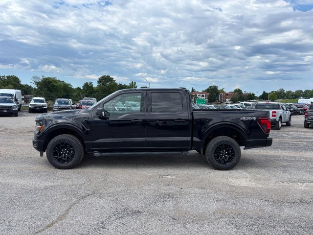 Ford F-150 Vehicle Full-screen Gallery Image 12