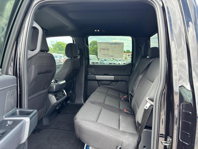 Ford F-150 Vehicle Full-screen Gallery Image 14