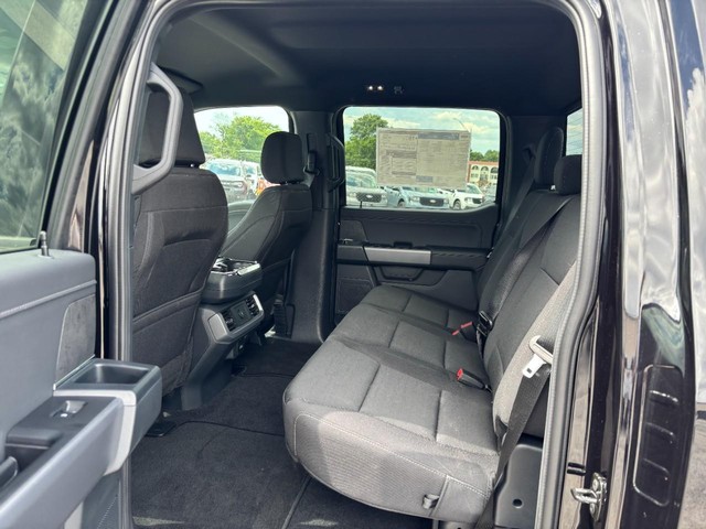 Ford F-150 Vehicle Full-screen Gallery Image 15