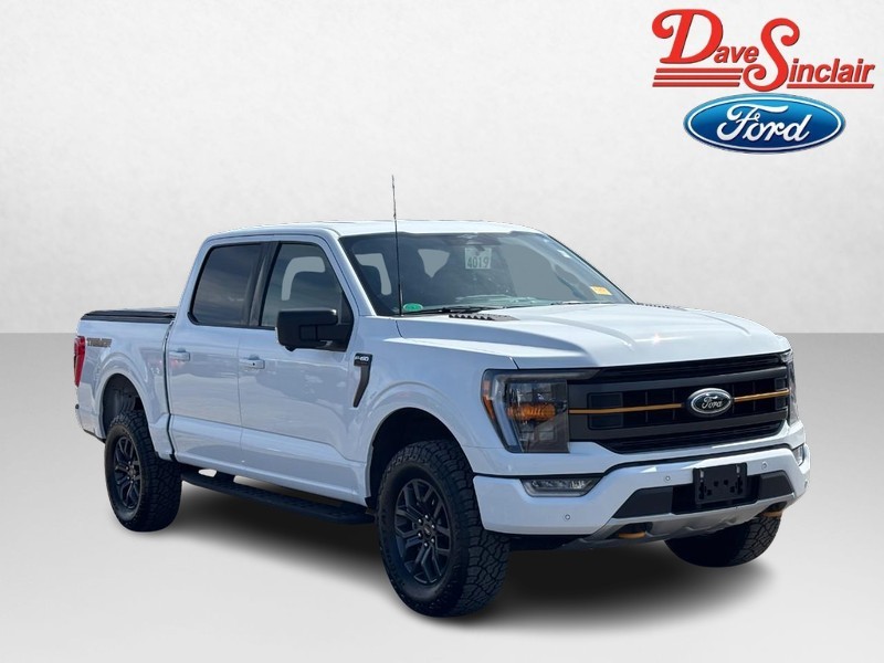 Ford F-150 Vehicle Image 04
