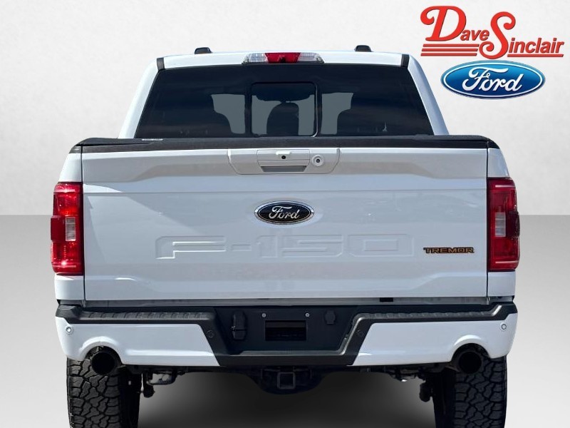 Ford F-150 Vehicle Image 08