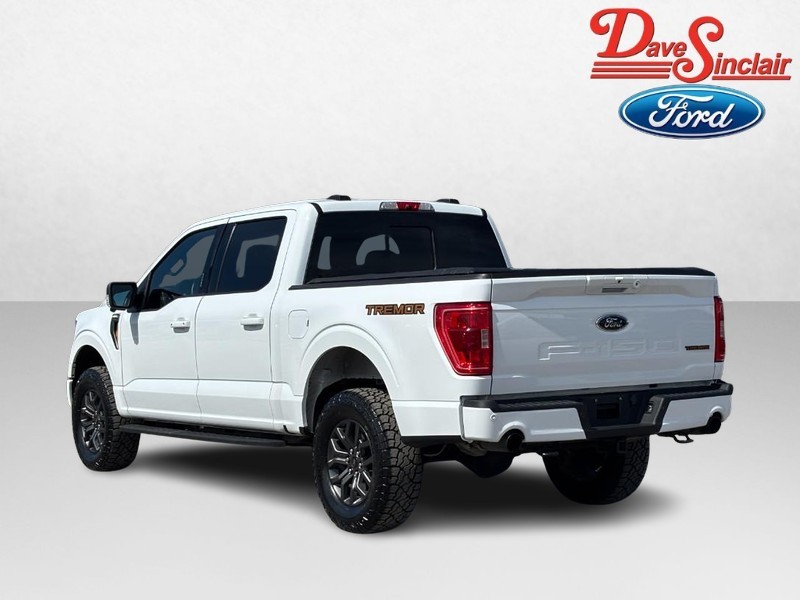 Ford F-150 Vehicle Image 09