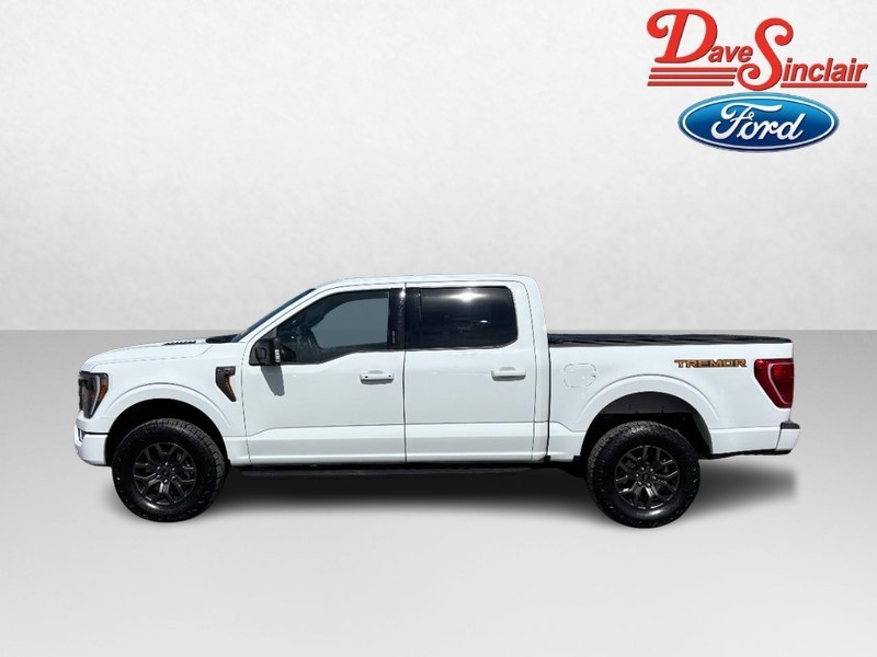 Ford F-150 Vehicle Image 10