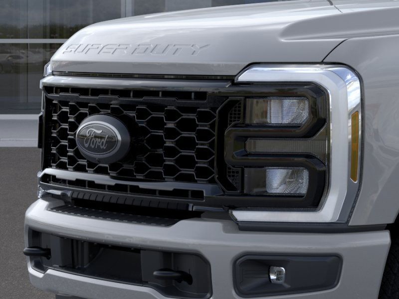 Ford Super Duty F-250 SRW Vehicle Image 19