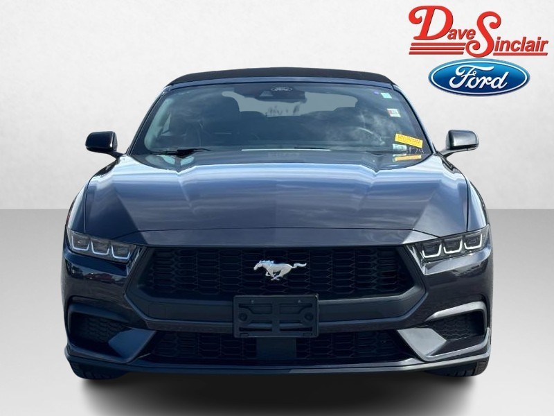 Ford Mustang Vehicle Image 02