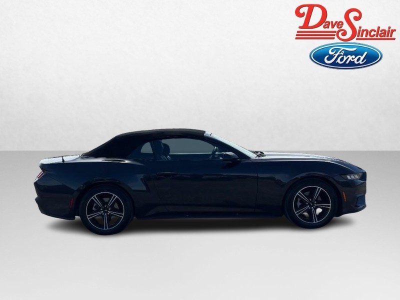 Ford Mustang Vehicle Image 05