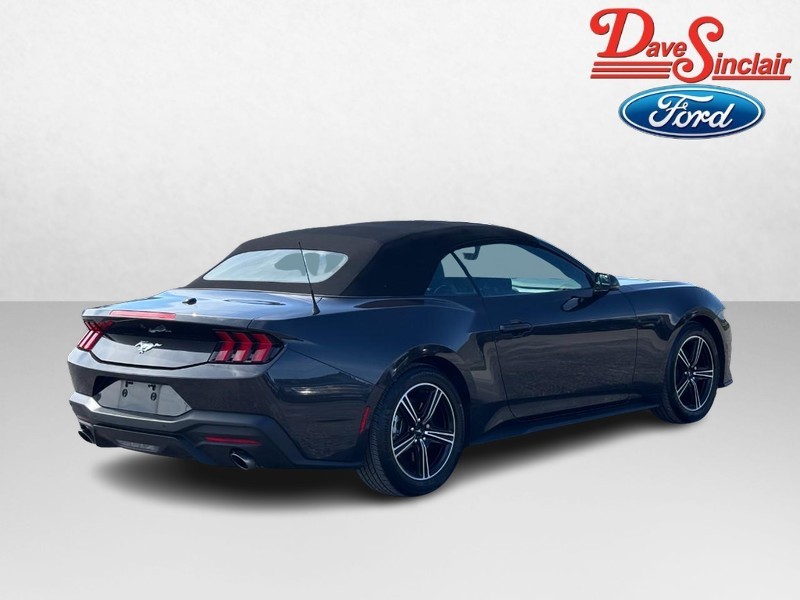 Ford Mustang Vehicle Image 07