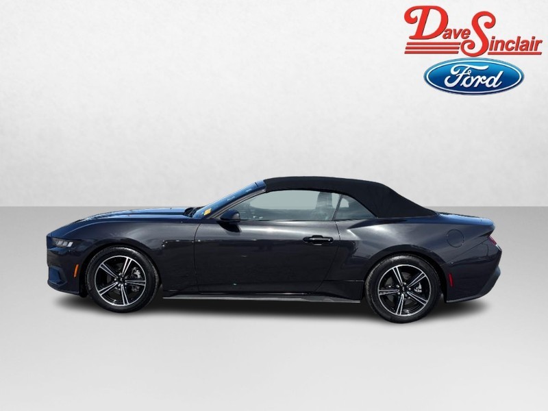 Ford Mustang Vehicle Image 10