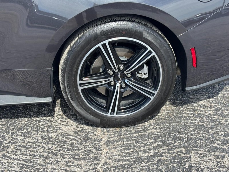 Ford Mustang Vehicle Image 11