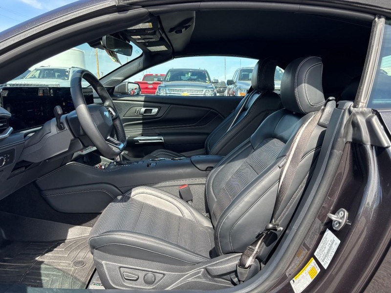 Ford Mustang Vehicle Image 13