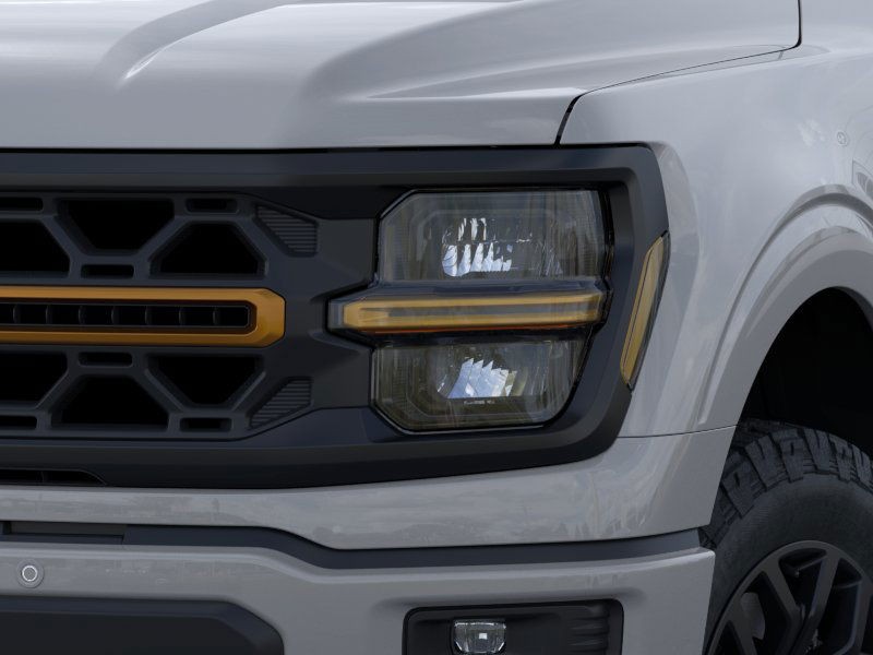 Ford F-150 Vehicle Image 20