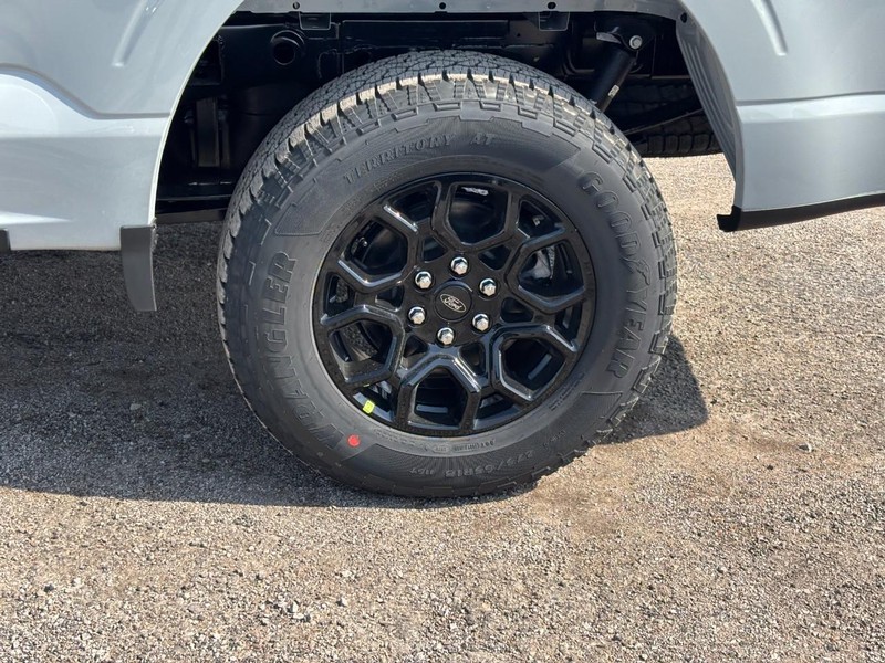 Ford F-150 Vehicle Full-screen Gallery Image 11