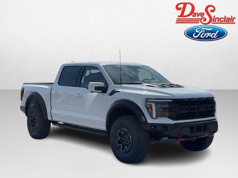 Ford F-150 Vehicle Image 04