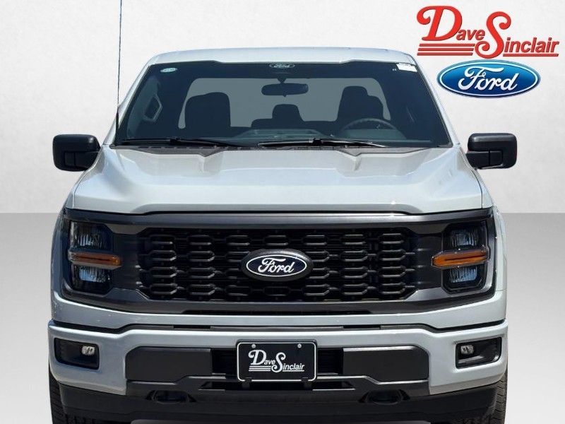 Ford F-150 Vehicle Image 02