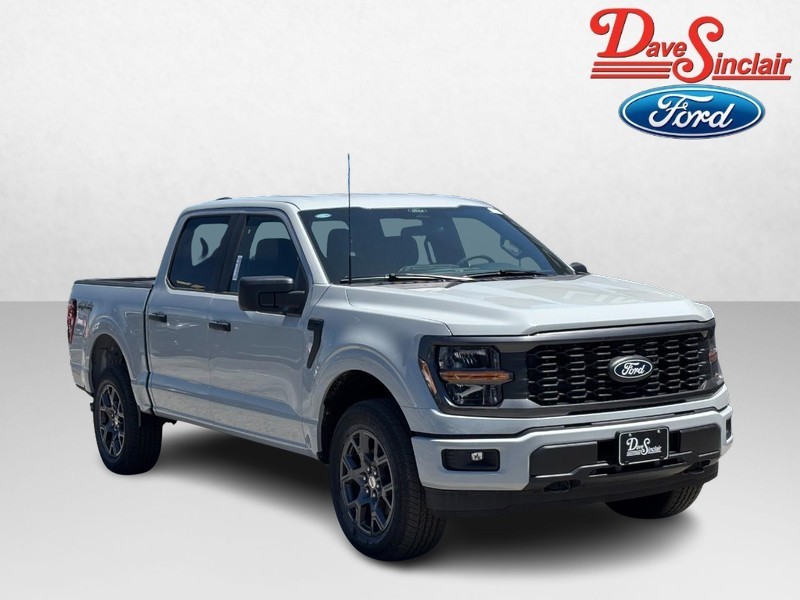 Ford F-150 Vehicle Image 04