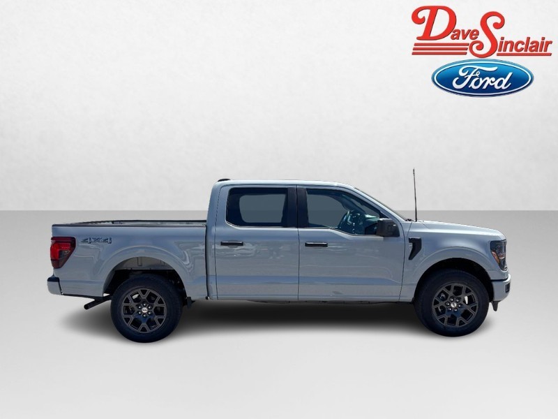 Ford F-150 Vehicle Image 05