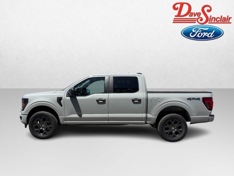 Ford F-150 Vehicle Image 10