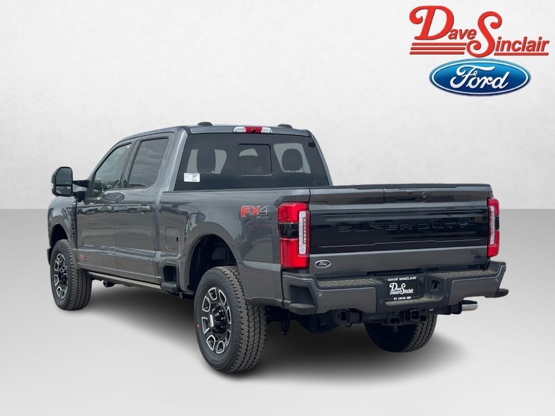 Ford Super Duty F-250 SRW Vehicle Image 09