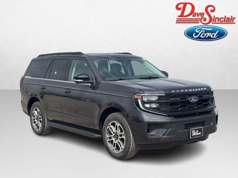 Ford Expedition Vehicle Image 04