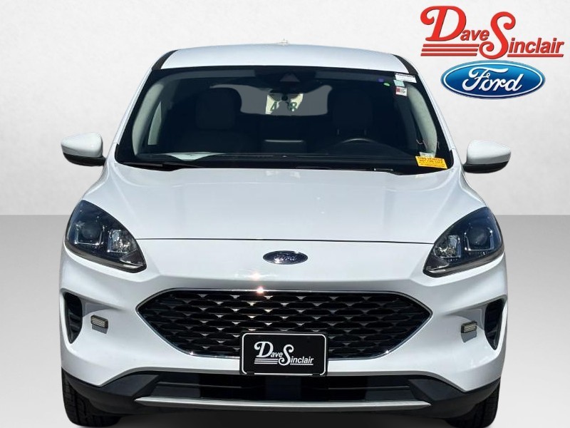 Ford Escape Vehicle Image 02