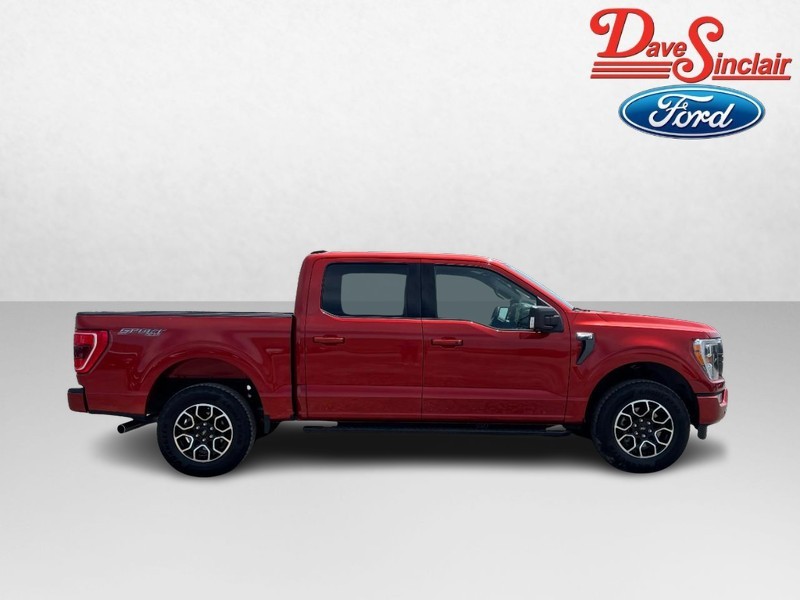 Ford F-150 Vehicle Image 05