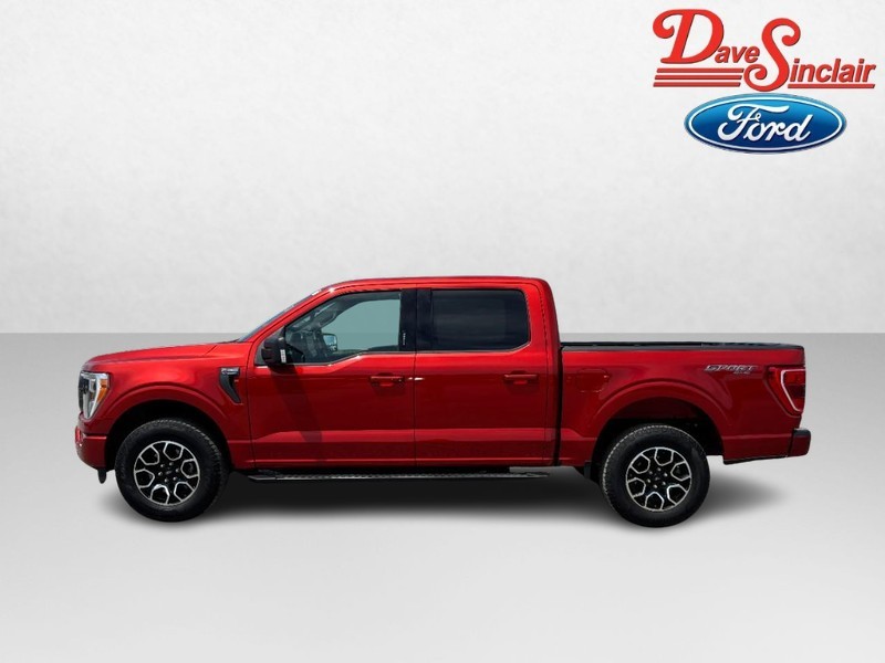 Ford F-150 Vehicle Image 10