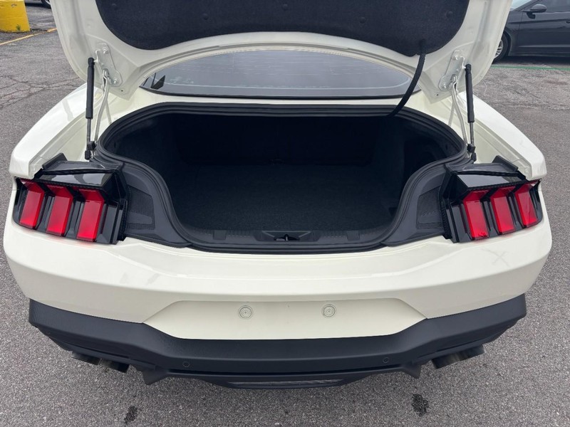 Ford Mustang Vehicle Image 11
