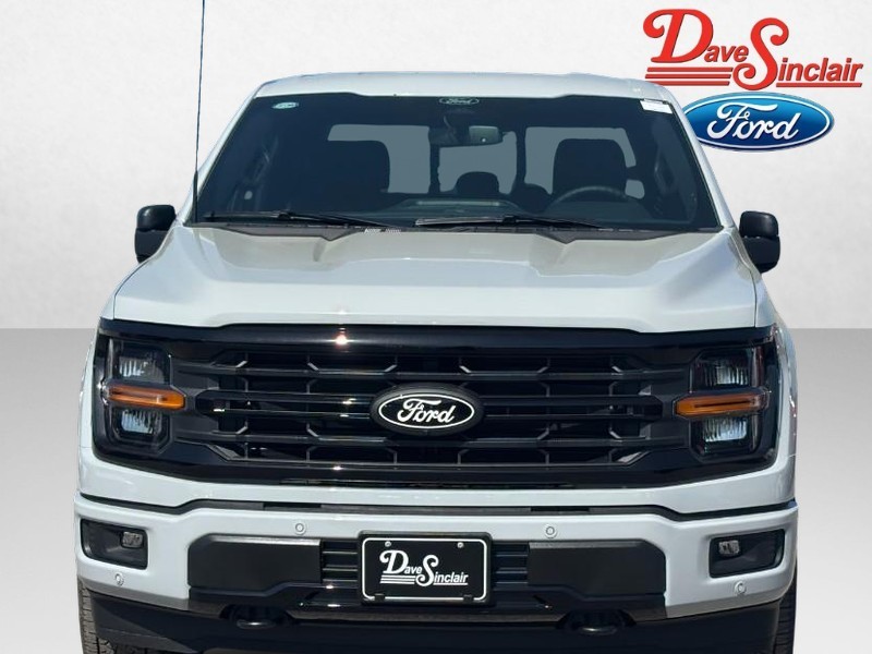 Ford F-150 Vehicle Image 02