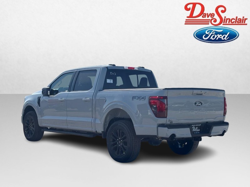 Ford F-150 Vehicle Image 09