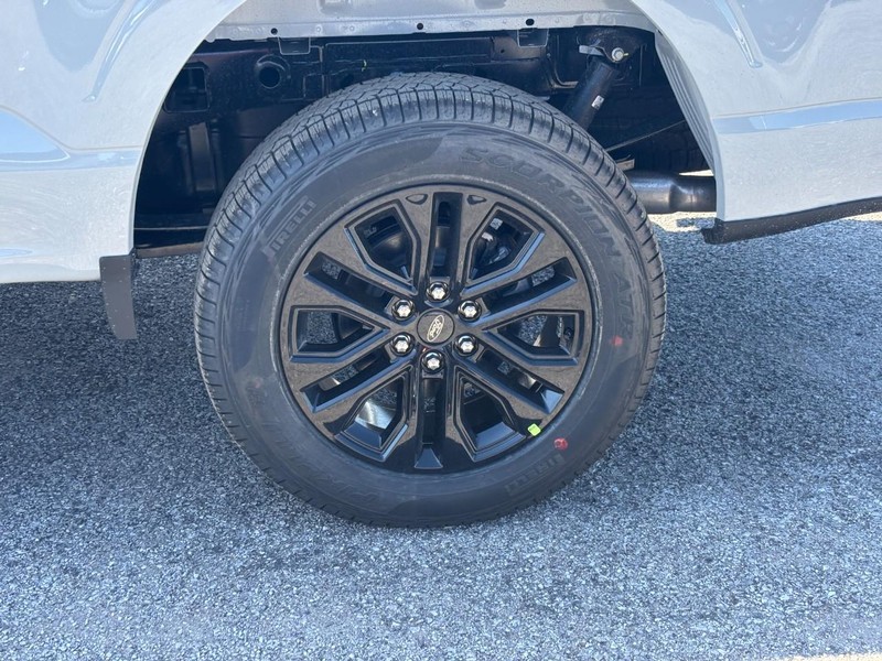 Ford F-150 Vehicle Image 11