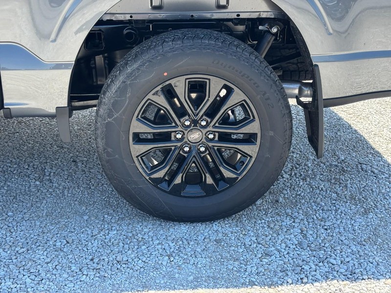 Ford F-150 Vehicle Image 11
