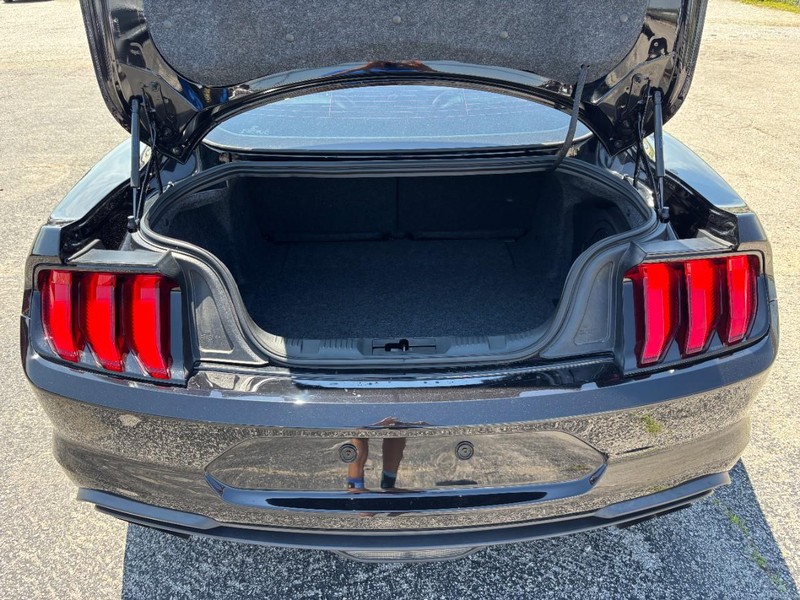 Ford Mustang Vehicle Full-screen Gallery Image 11