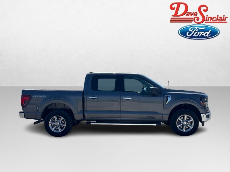 Ford F-150 Vehicle Image 05