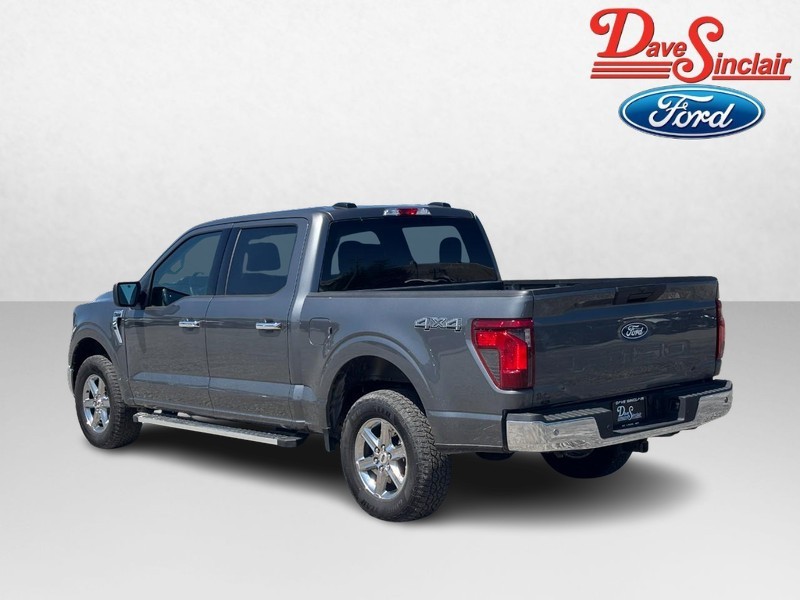 Ford F-150 Vehicle Image 09