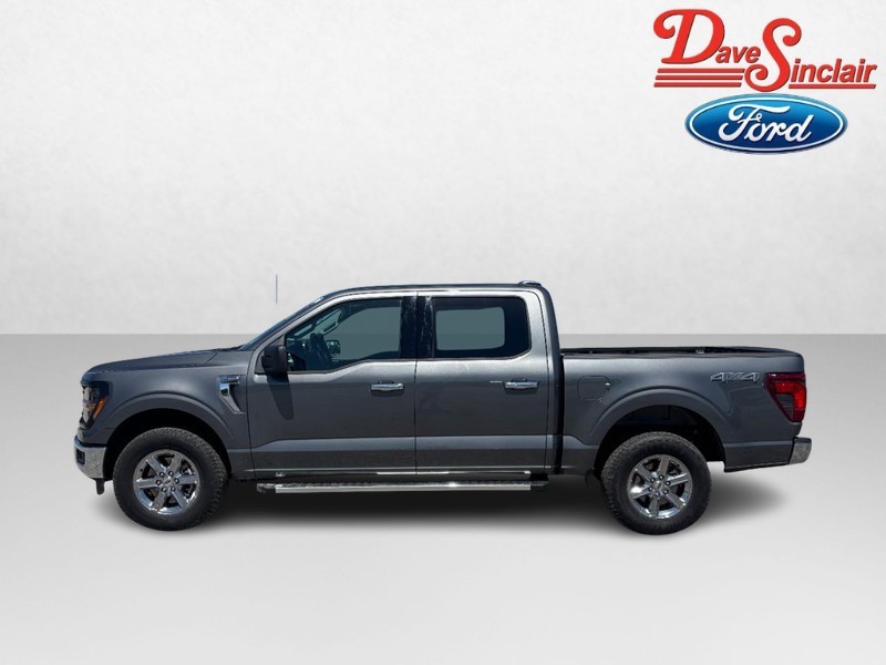 Ford F-150 Vehicle Image 10