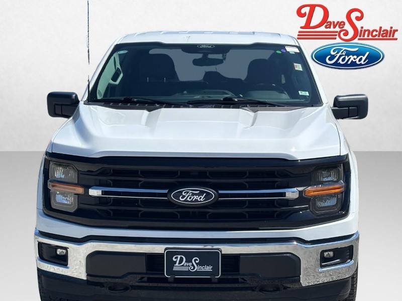 Ford F-150 Vehicle Image 02