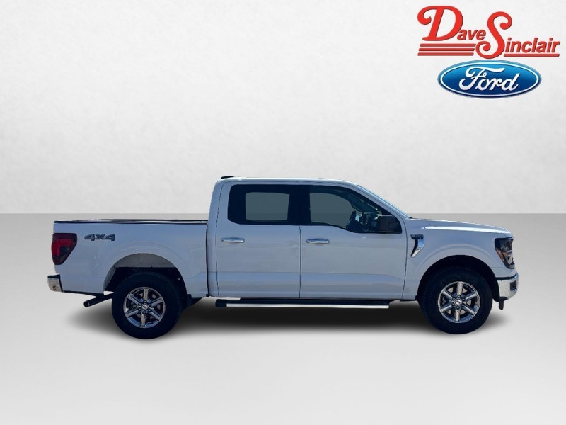 Ford F-150 Vehicle Image 05