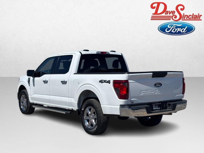 Ford F-150 Vehicle Image 09