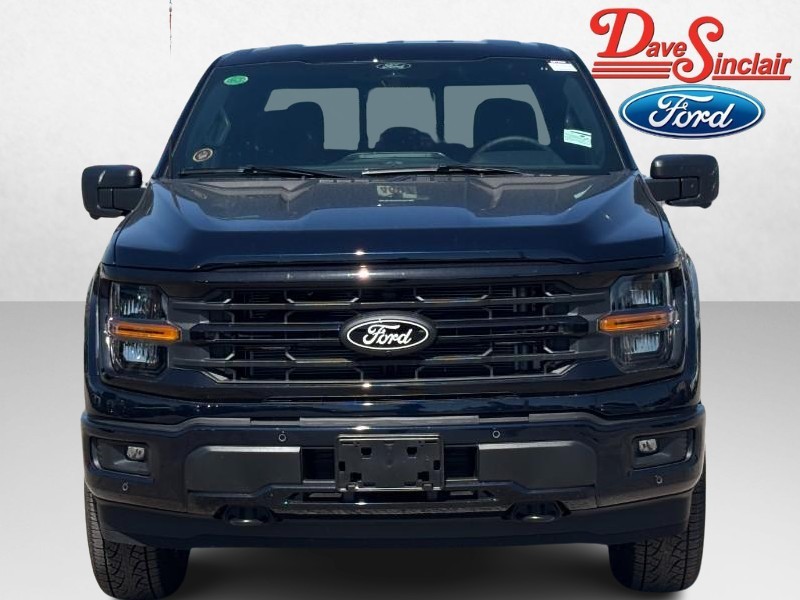 Ford F-150 Vehicle Image 02