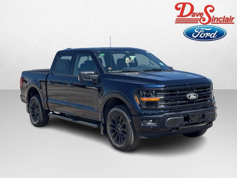 Ford F-150 Vehicle Image 04
