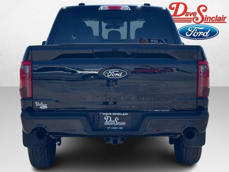 Ford F-150 Vehicle Image 08