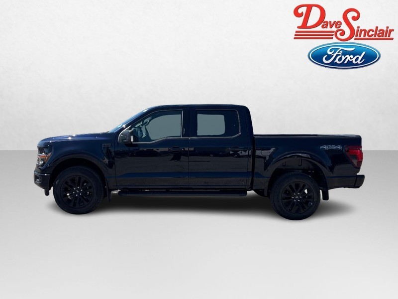 Ford F-150 Vehicle Image 10