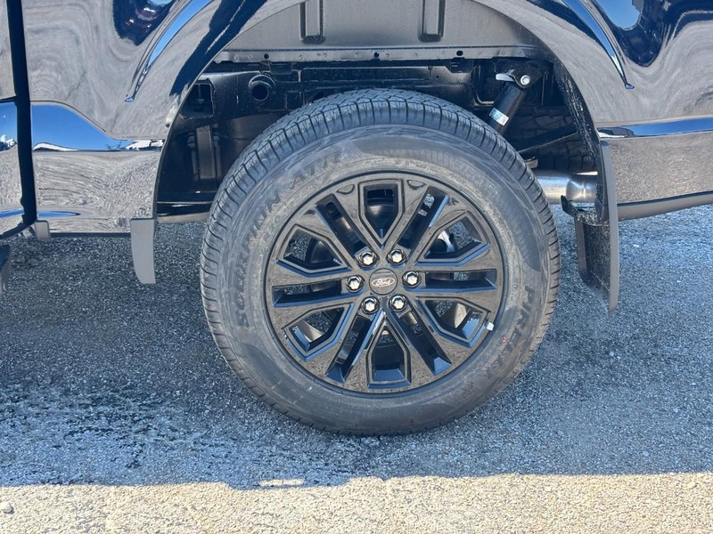 Ford F-150 Vehicle Image 11