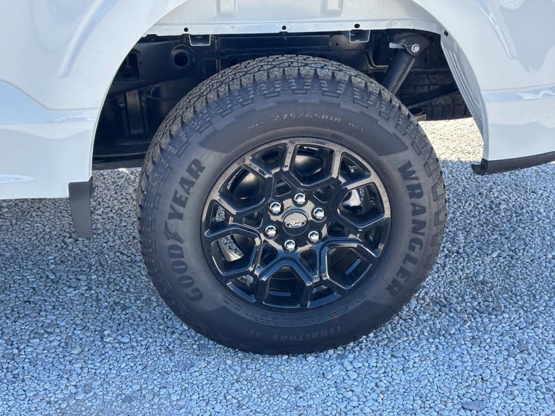 Ford F-150 Vehicle Full-screen Gallery Image 11