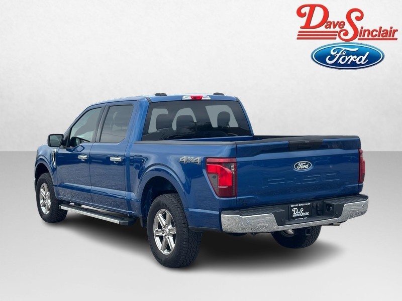 Ford F-150 Vehicle Image 09