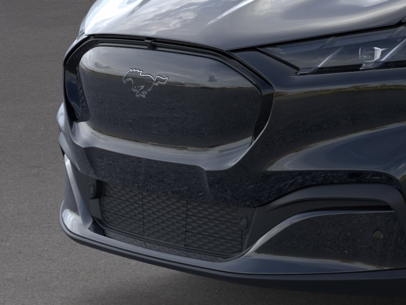 Ford Mustang Mach-E Vehicle Full-screen Gallery Image 19